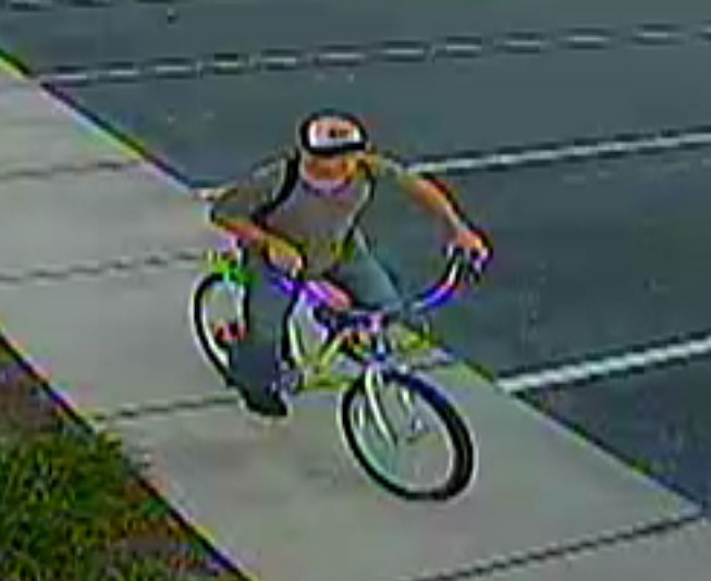 CVS shoplifting suspect