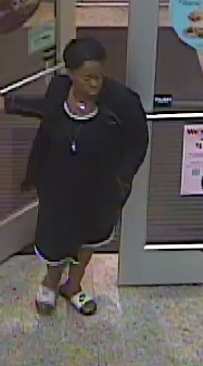 Lakeland Septic credit card theft female suspect Lakeland Septic credit card theft female suspect